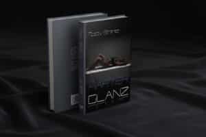 Harter Glanz ebook von toby shine