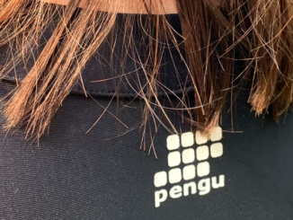 Pengu Rueckenlogo Titel