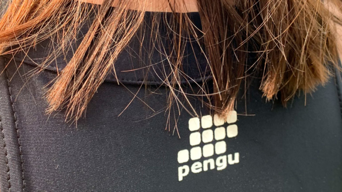 Pengu Rueckenlogo Titel