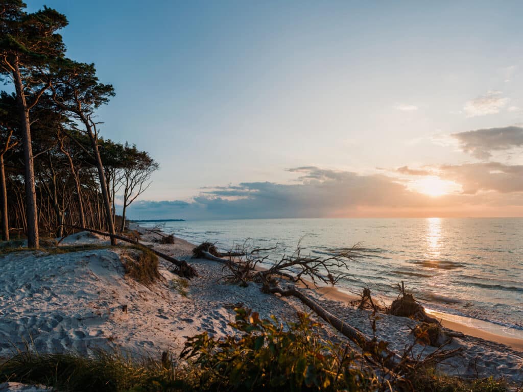 Strand Prerow auf dem Darß