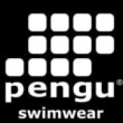 pengu-logo