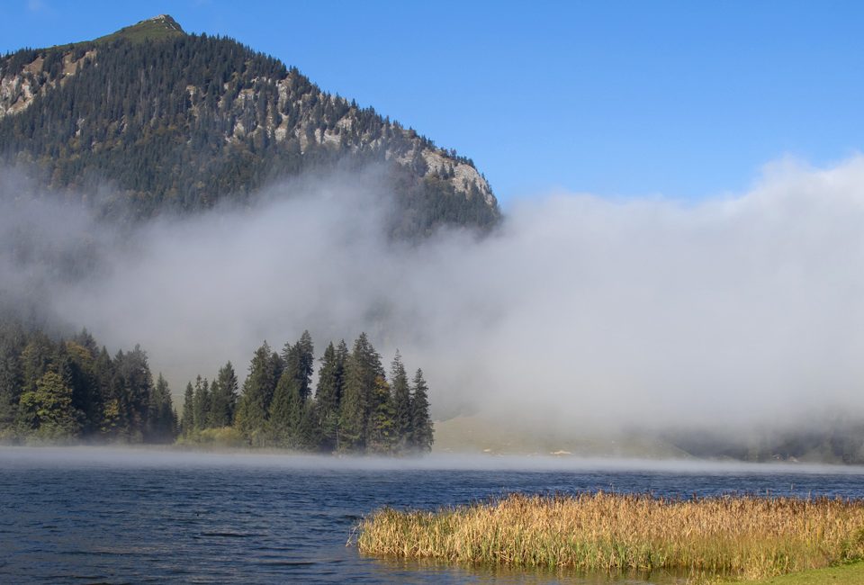 Spitzingsee im Nebel